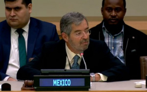Ambassador de la Fuente, Permanent Representative of Mexico to the United Nations Mission in New York, speaking at a Civil Society Task Force event. Ambassador de la Fuente, Permanent Representative of Mexico to the United Nations Mission in New York, speaking at a Civil Society Task Force event.