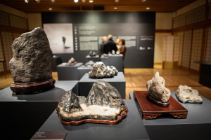 af_ice-and-stone-opening-020919-image-013.jpg af_ice-and-stone-opening-020919-image-013.jpg