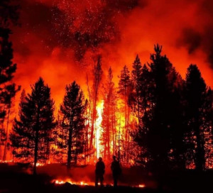 Bootleg Fire, Southern Oregon Bootleg Fire, Southern Oregon