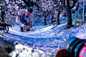 Coraline (Behind The Scenes), Animator Chris Tootell guides Coraline through an orchard of popcorn blossoms. CORALINE ©2009, LAIKA, LLC