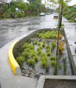 Curbside Swale 45th & Clay, Portland, OR