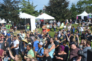 Seattle Hempfest 2017 Seattle Hempfest 2017