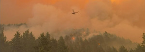 Columbia Gorge Fire