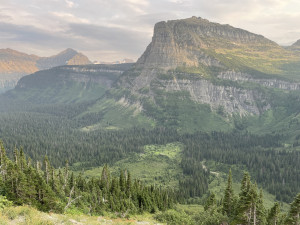Image of a mountainside in Glacier National Park