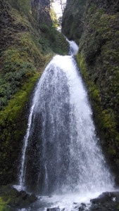 Thinking thoughts of growth... Waterfall in the Columbia River Gorge