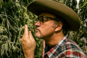 Jim Belushi Jim Belushi