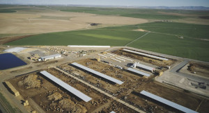 Massive CAFO Dairy in Eastern Oregon Massive CAFO Dairy in Eastern Oregon