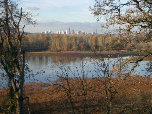 Oaks Bottom, Sellwod Oaks Bottom, Sellwood