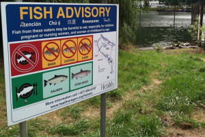 Portland Harbor Fish Advisory Portland Harbor Fish Advisory