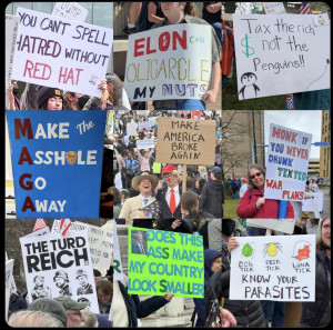 "Honk If You've Ever Drunk Texted War Plans" montage of 9 protest signs