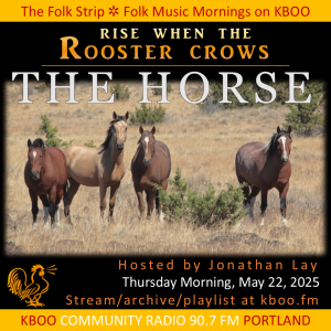 Image of wild horses