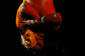 READING GROUPS: JAAMIL OLAWALE KOSOKO’S AMERICAN CHAMELEON: THE LIVING INSTALLMENTS READING GROUPS: JAAMIL OLAWALE KOSOKO’S AMERICAN CHAMELEON: THE LIVING INSTALLMENTS