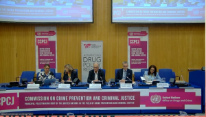 Photo is a screengrab of five people at a conference table, seated facing the audience, at a side event at the 34th Session of the UN's Commission on Criminal Justice and Crime Prevention. Photo is a screengrab of five people at a conference table, seated facing the audience, at a side event at the 34th Session of the UN's Commission on Criminal Justice and Crime Prevention.