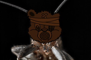 The Self Help Radio Logo Superimposed Over A Cricket's Face