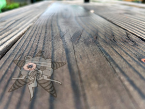 The surface of a picnic table with the Self Help Radio logo laid on top of it.