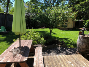 A photo of a backyard with the Self Help Radio logo in the foreground.