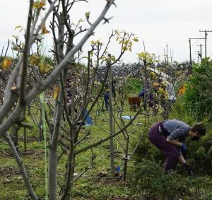 Urban Tilth, North Richmond, CA Urban Tilth, North Richmond, CA