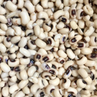 Black Eyed Peas Black Eyed Peas