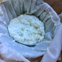 Goat Cheese Chevre Goat Cheese Chevre
