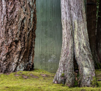 amayadori_an_installation_that_is_part_of_subtle_intimacy_here_and_there_a_new_exhibition_at_portland_japanese_garden._photo_by_jonathan_ley_2.jpg