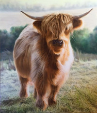 art_focus_05192020_jennifer_gray_highland_bull.jpg art_focus_05192020_jennifer_gray_highland_bull.jpg