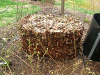 Composting leaves