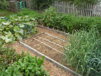 raised gardening bed raised gardening bed