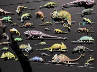 exquisite-creatures-revealed_chameleons.jpg exquisite-creatures-revealed_chameleons.jpg