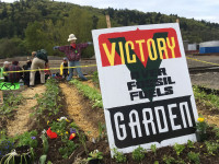 Victory Against Fossil Fuels Garden