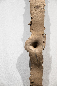 lobby_gallery_sima_familant_breathing_room_cast_of_belly_button.jpg lobby_gallery_sima_familant_breathing_room_cast_of_belly_button.jpg
