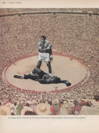 "Matador Ali" (collage by Kevin Sampsell)