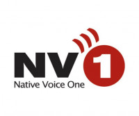 NV1 logo NV1 logo