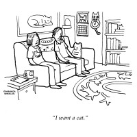 ny_3830_wantacat.jpg ny_3830_wantacat.jpg