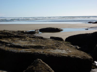 Short Sands Beach, Oregon Short Sands Beach, Oregon