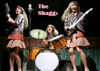 The Shaggs (Used With Permission)