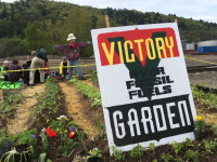 Victory Garden on Zenith Energy Tracks